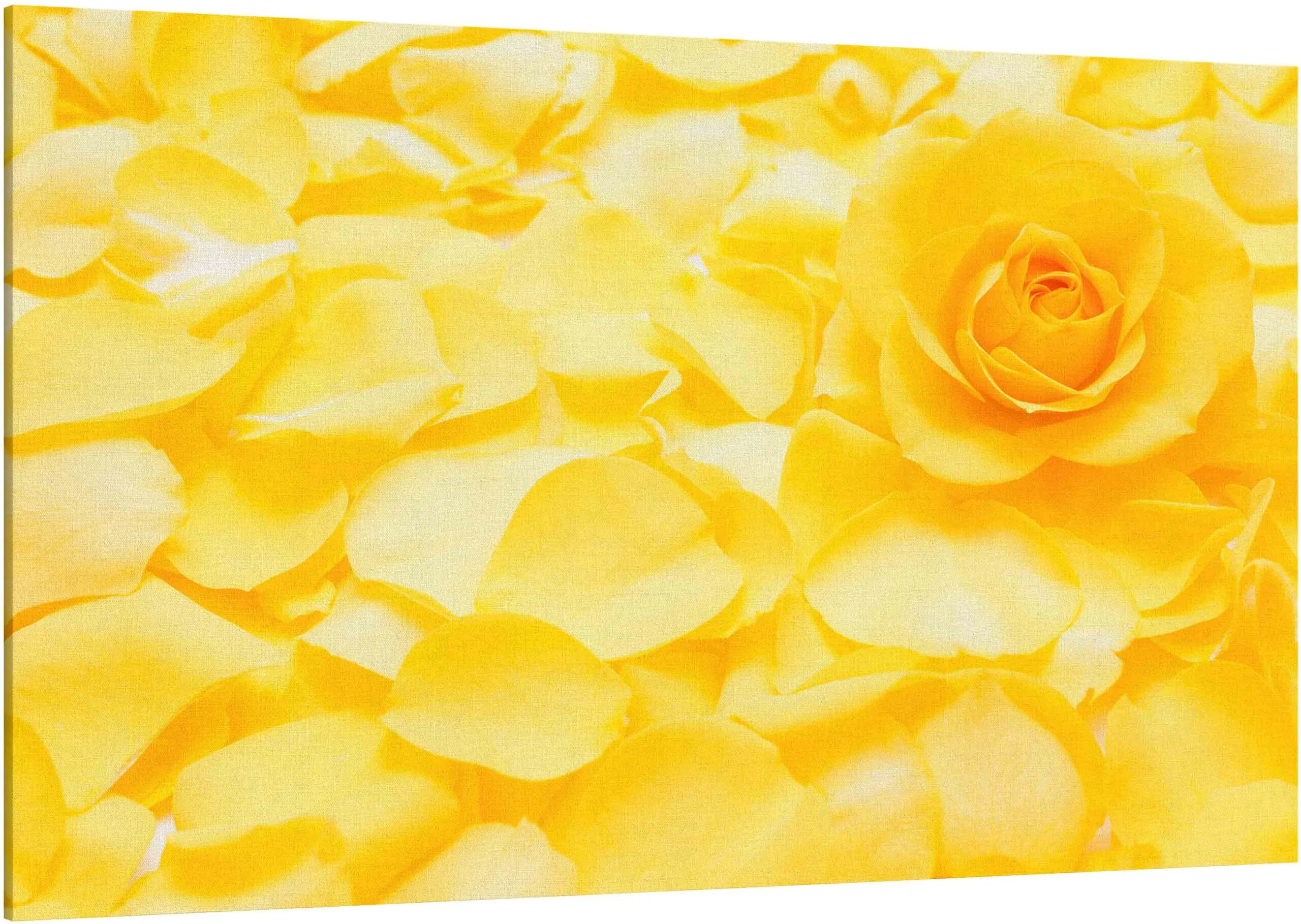 3M colour Vinyl 3630-135 Yellow Rose thumbnail 2